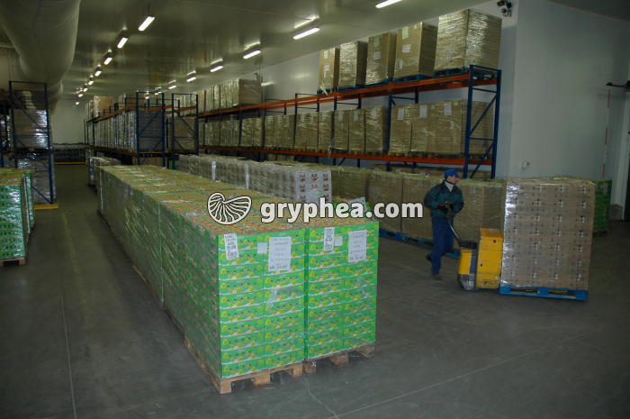 Fabrication des yaourts - Entreposage des palettes avant chargement sur les camions de transport - gryphea.com